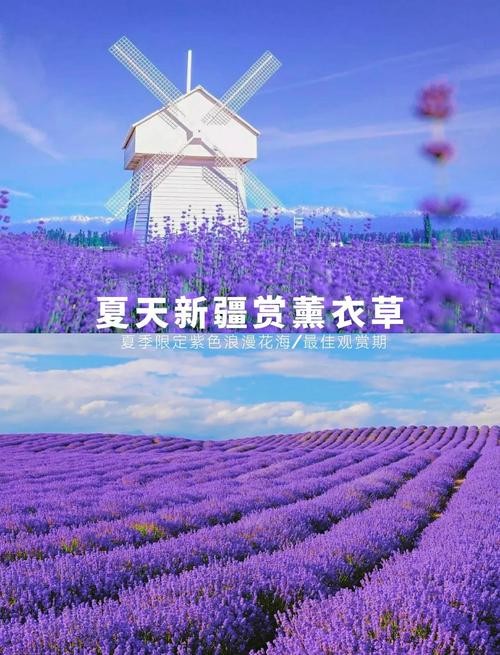 新疆伊宁市气象局的简介