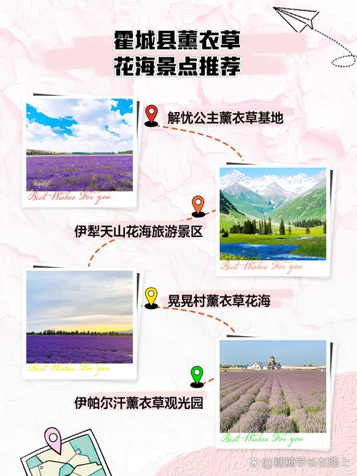 手机短信想订阅霍城县天气预报怎么订阅?