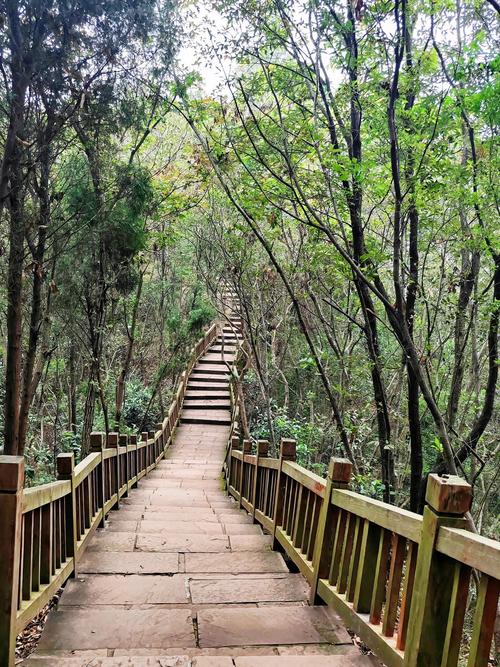 成都都有哪些景区可以去免费玩呢“?