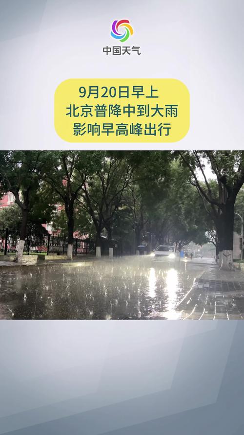 暴雨黄色预警信号是指在几小时