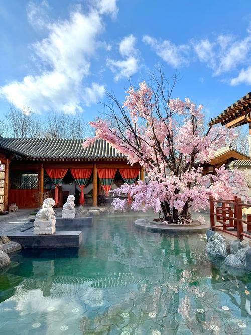 北京温泉哪里好又便宜