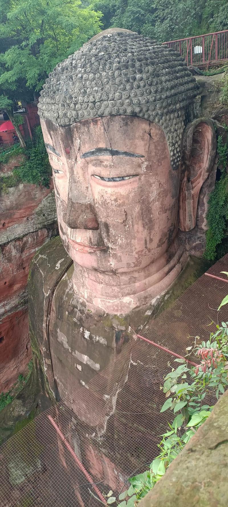 乐山大佛在哪个市