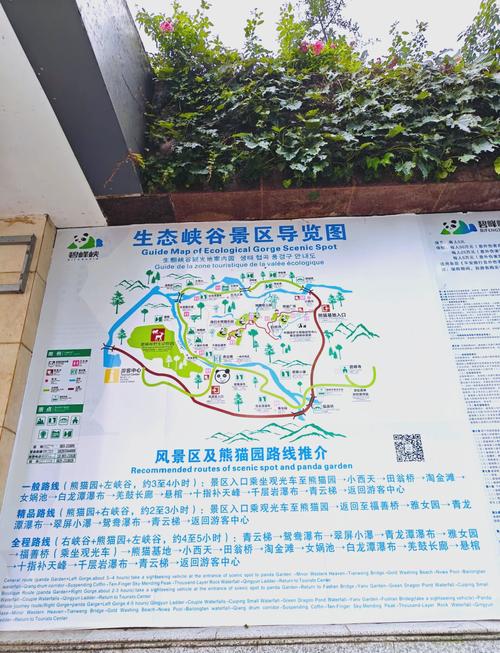 雅安市碧峰峡门票,费用、购买方式、景点介绍