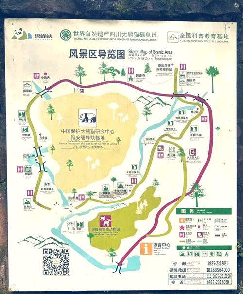 成都到碧峰峡旅游攻略一日游,成都到碧峰峡一日游怎样安排