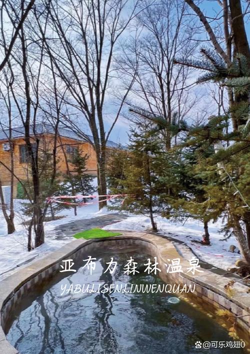 亚布力森林温泉门票118元包含什么?