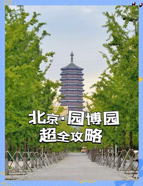 北京园博园几点开放