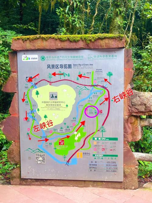 碧峰峡一日游详细攻略,碧峰峡一日游攻略没带身份证可以去吗