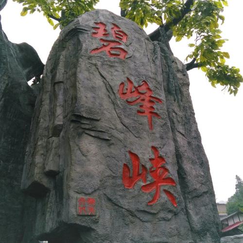 成都到碧峰峡旅游攻略一日游,成都到碧峰峡一日游怎样安排