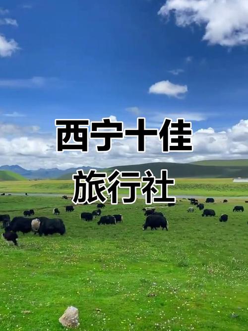 西宁都有哪些旅行社