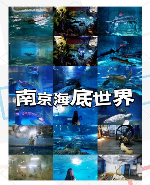 南京一日游攻略最佳路线