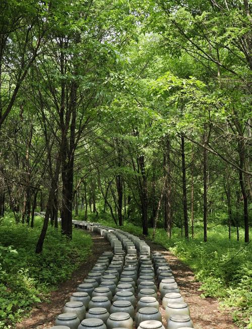 哈尔滨适合开车溜达的地方_哈尔滨自驾延吉路线推荐