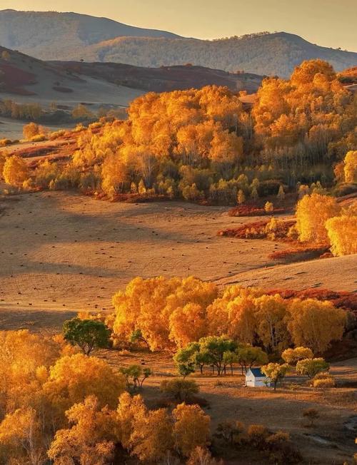 中国旅游最想看什么