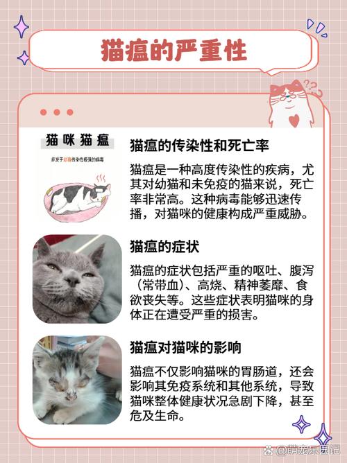 猫瘟病毒多久能自行消失