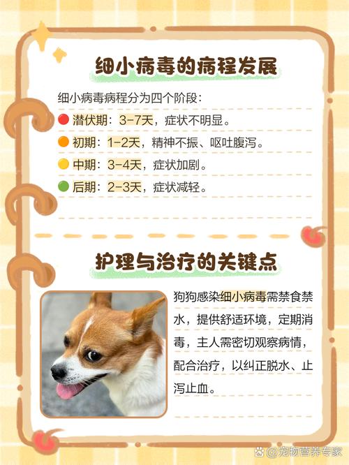 轮状病毒感染要多久才不会有传染性