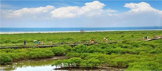 去涠洲岛在哪里坐船