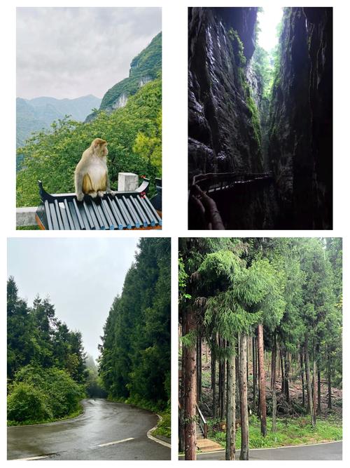 重庆金佛山两日游玩攻略+最佳路线图