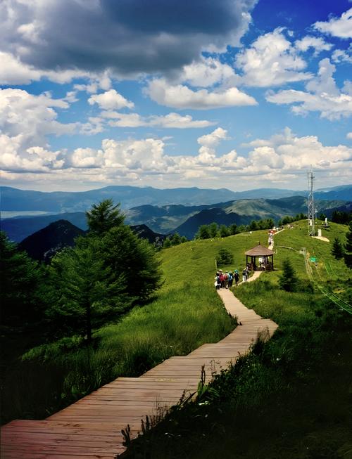 石家庄都有哪些旅行社