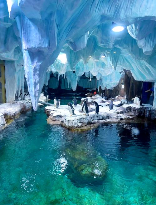 郑州海洋馆怎么样?值得去吗?