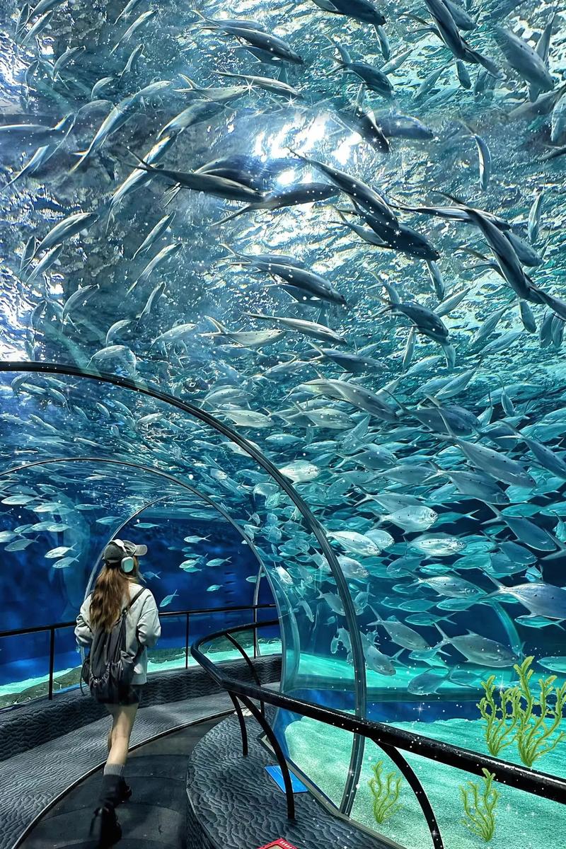 郑州海洋馆在哪里地址