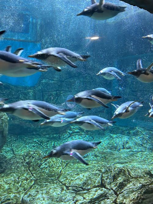 郑州海洋馆在哪里,郑州海洋馆在哪里停车方便