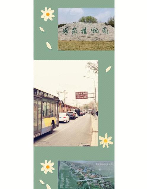 北京植物园从哪里可以免费进去