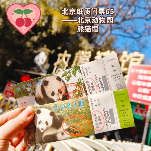 北京动物园价目表