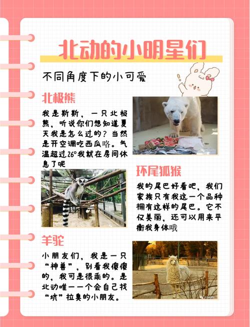 北京动物园的时间安排