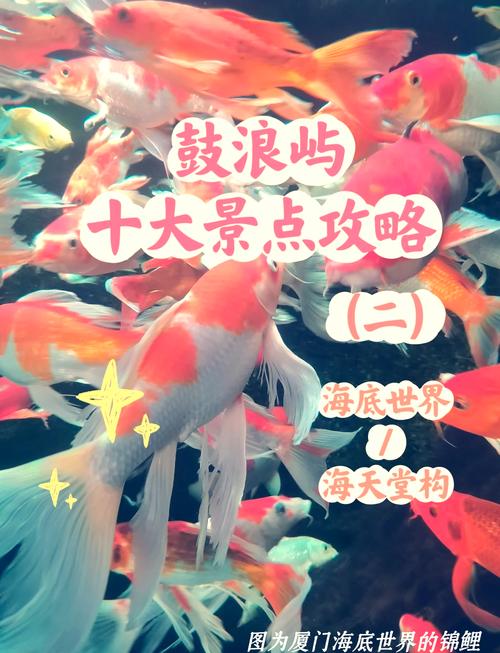 2024鼓浪屿景点收费表