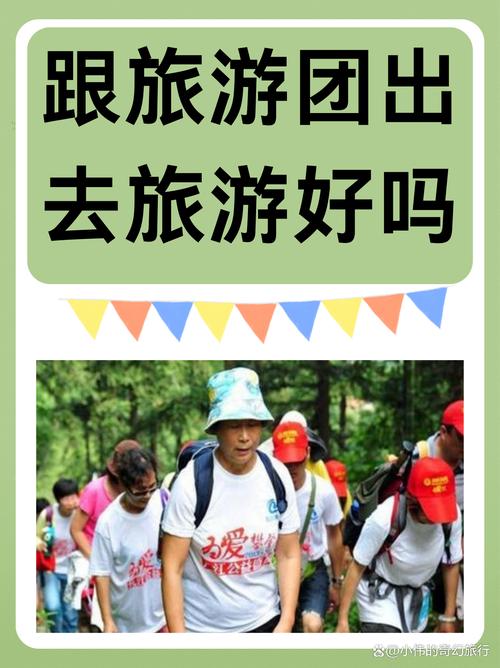跟旅游团出去旅游好吗