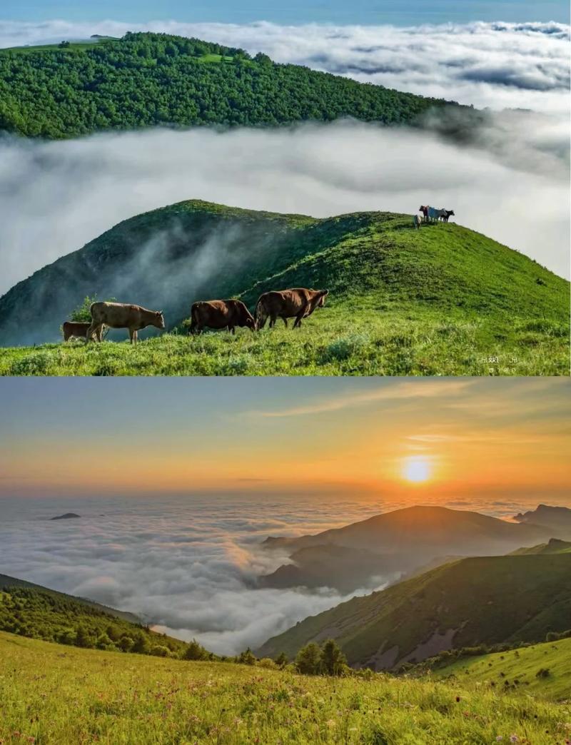 木兰围场和坝上草原哪个好