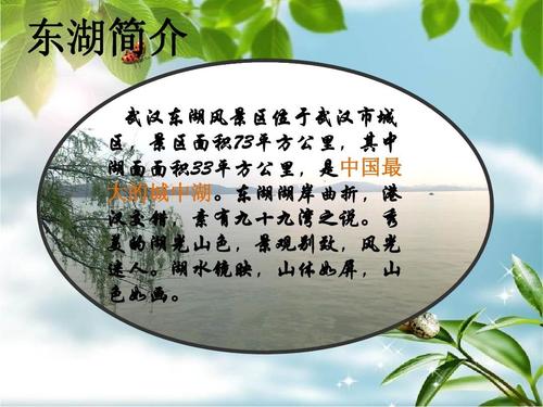 东湖武汉简介