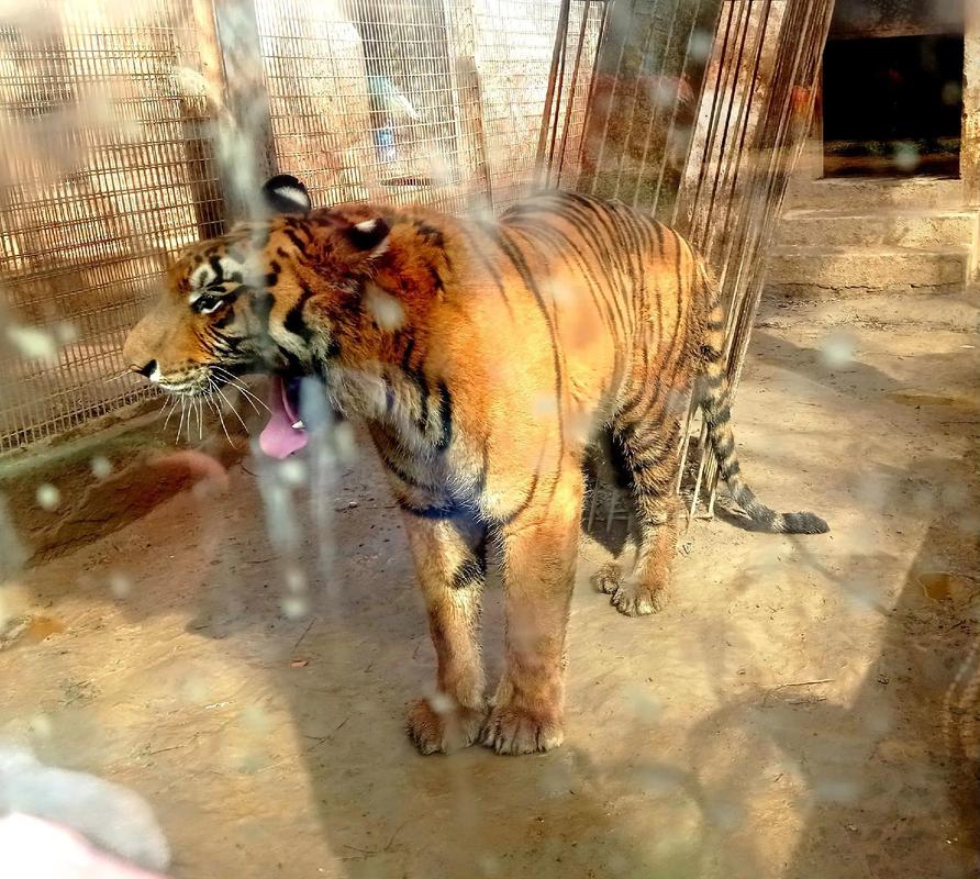 北京动物园含熊猫馆含海洋馆多少钱门票多少钱