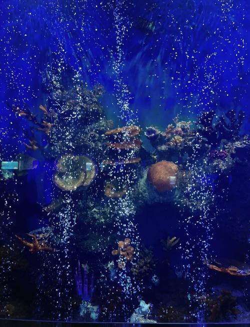 石家庄动物园海洋馆门票多少钱一张