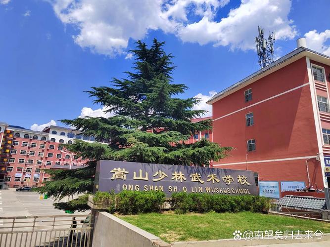 真正的嵩山少林寺武校有几家