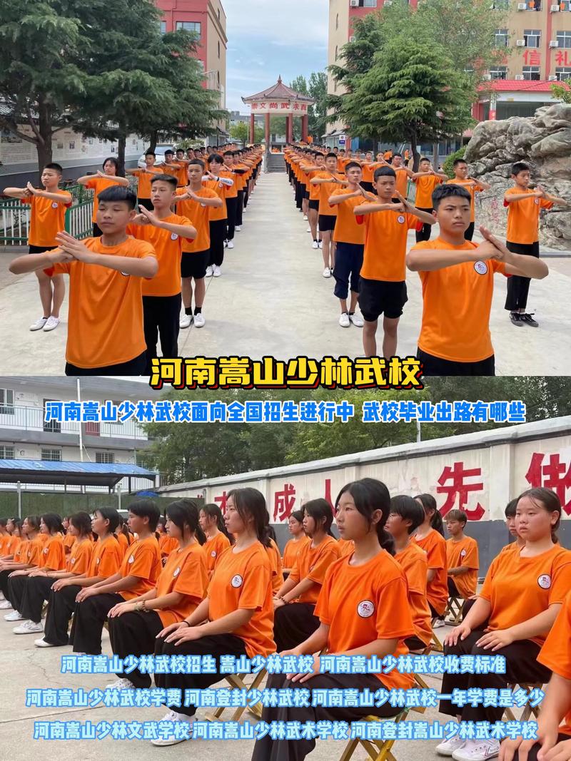 少林寺哪家武校好,少林寺武校哪家正规