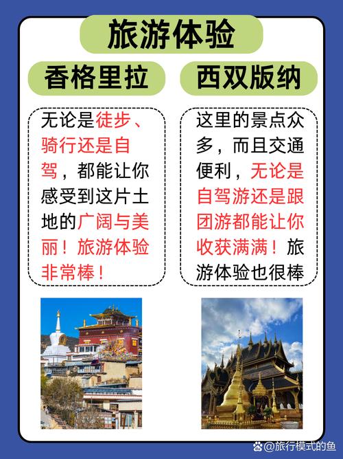 旅行到底是一个人去好还是一群人去更好?