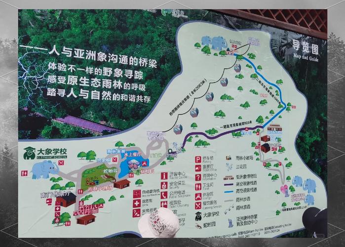 西双版纳旅游怎么安排?比较好包含野象谷和傣族村寨体验