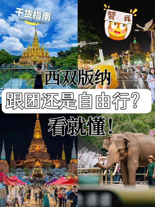 西双版纳旅游一次大概多少钱,西双版纳玩一趟需要多少钱