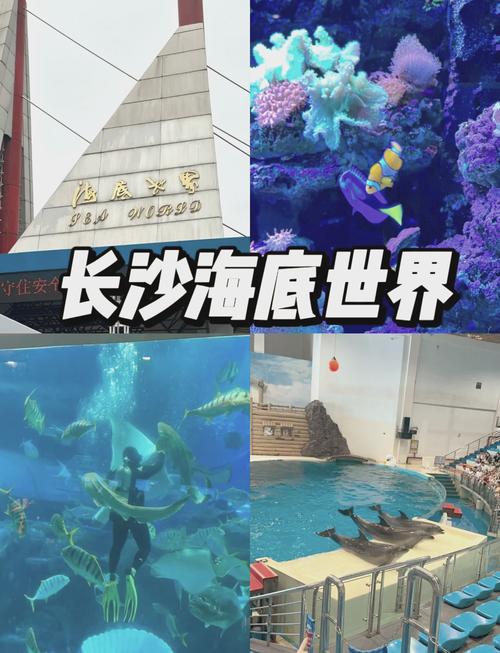 长沙海底世界门票费用?