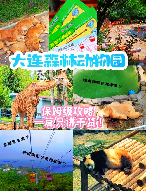 大连动物园都有什么动物