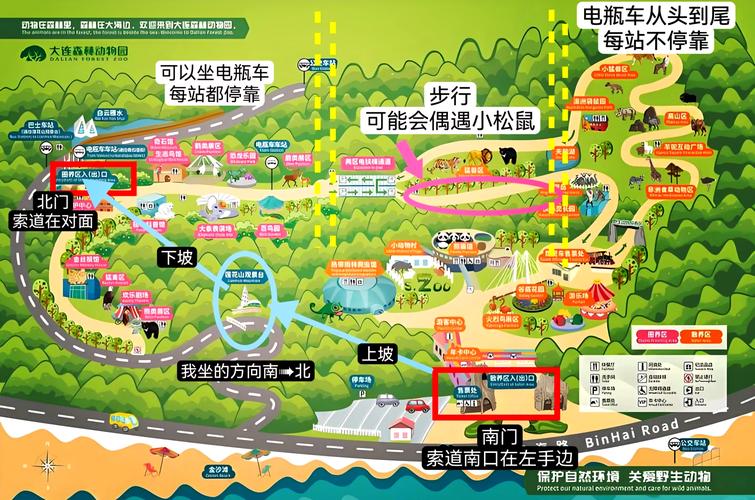 大连森林动物园游玩攻略路线