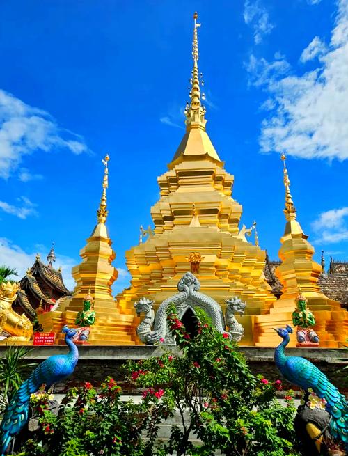 西双版纳8月份适合旅游吗