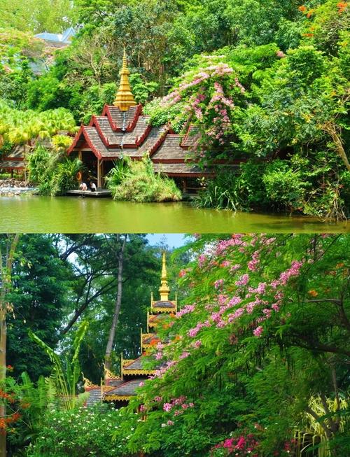 西双版纳旅游几月份去比较好