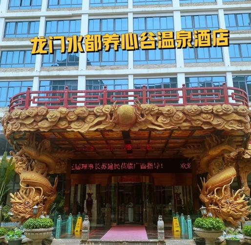 从菠萝岭打的到南宁龙门水都温泉酒店多少钱