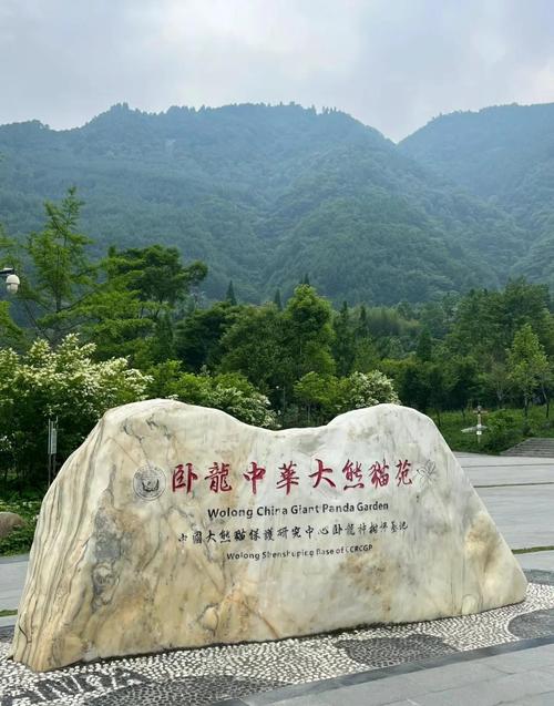 卧龙中华大熊猫苑神树坪基地游玩攻略