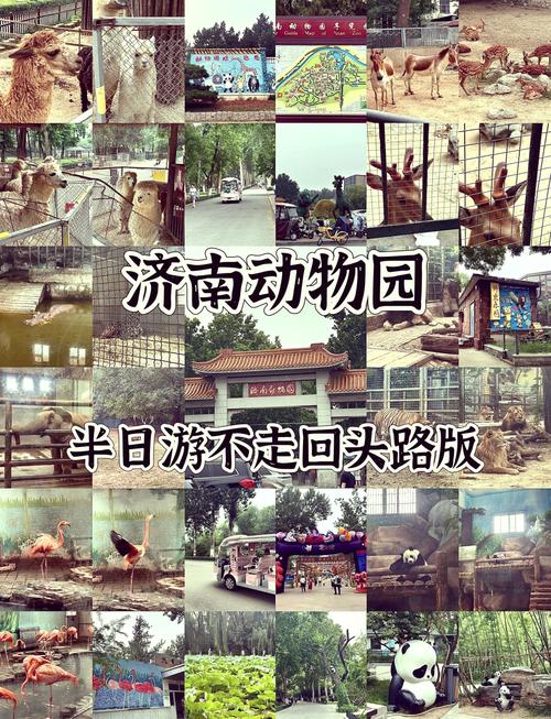 济南野生动物园免费开放时间表