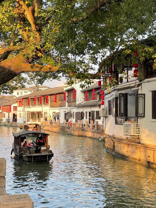 上海浦东有那些古镇可以游玩