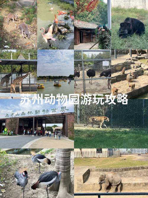 苏州动物园门票费用团购,最新优惠信息