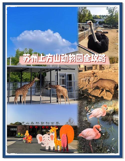 苏州动物园门票多少钱一张