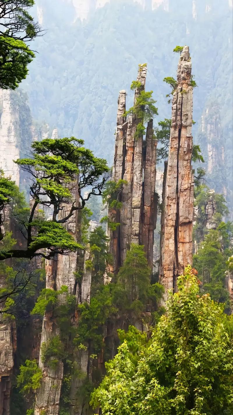 张家界有哪些不需要门票的景点?